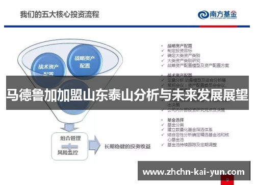 马德鲁加加盟山东泰山分析与未来发展展望 马德鲁加加盟山东泰山分析与未来发展展望